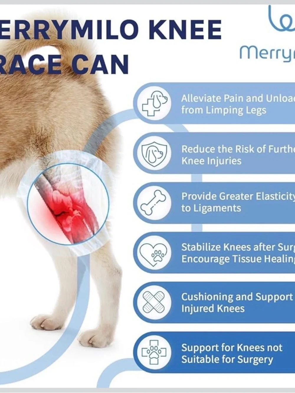 Dog Knee Brace for Sprain‎ ACL Injury Support Back Leg Adjustable Large